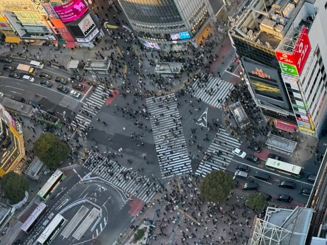 For a fantastic, free view of the Shibuya Scramble, head to the 14th floor of the Shibuya Scramble Square building where an exhibition hall window offers the perfect overhead shot.