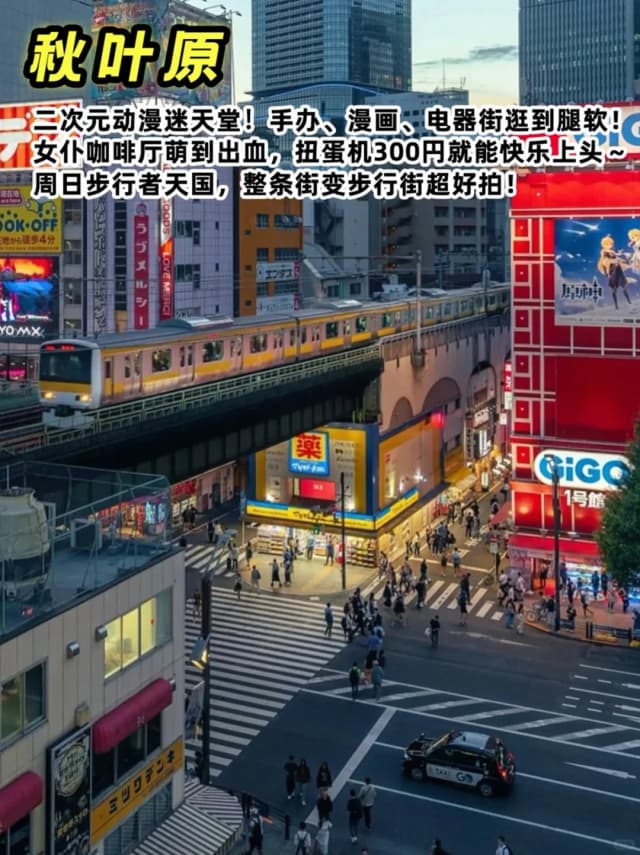 Akihabara: The holy land for anime, electronics, and figurines—a paradise for fans of the 2D world.