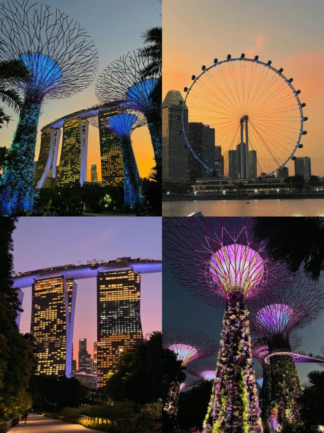 The light show at the Supertree Grove, set to music, is absolutely stunning and a magical experience.