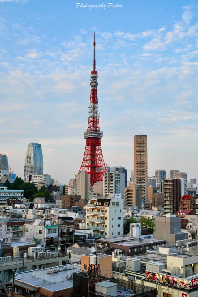 Lying in bed and watching the Tokyo Tower light up is so incredibly healing.