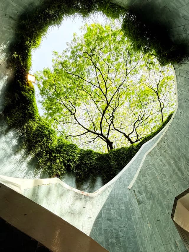 For that iconic photo at the Fort Canning Tree Tunnel, be prepared for huge crowds and up to a one-hour wait.
