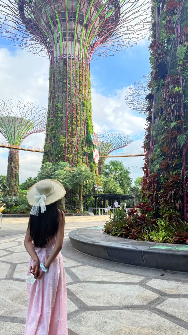 The Supertree light show is incredibly stunning, giving off full Avatar vibes.