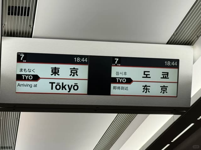 Highly recommend staying in the Ginza, Tokyo Station, or Kyobashi area—they're all conveniently within walking distance of each other.