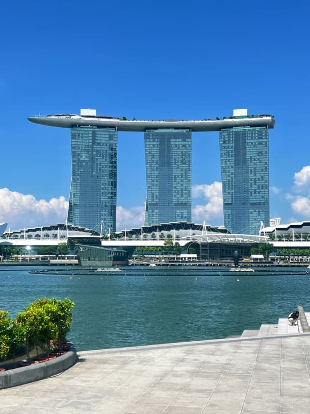 Lying under the trees to watch the fantastical performance of intertwined light and music—the atmosphere is absolutely magical!