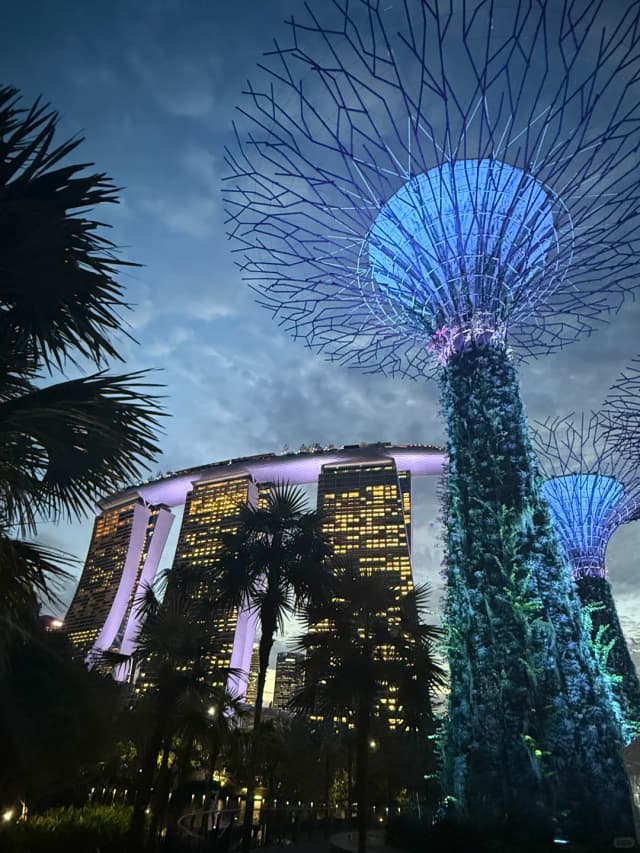 The Cloud Forest waterfall looks like a fairyland in photos, and the Supertree Grove light show at night is a must-see!