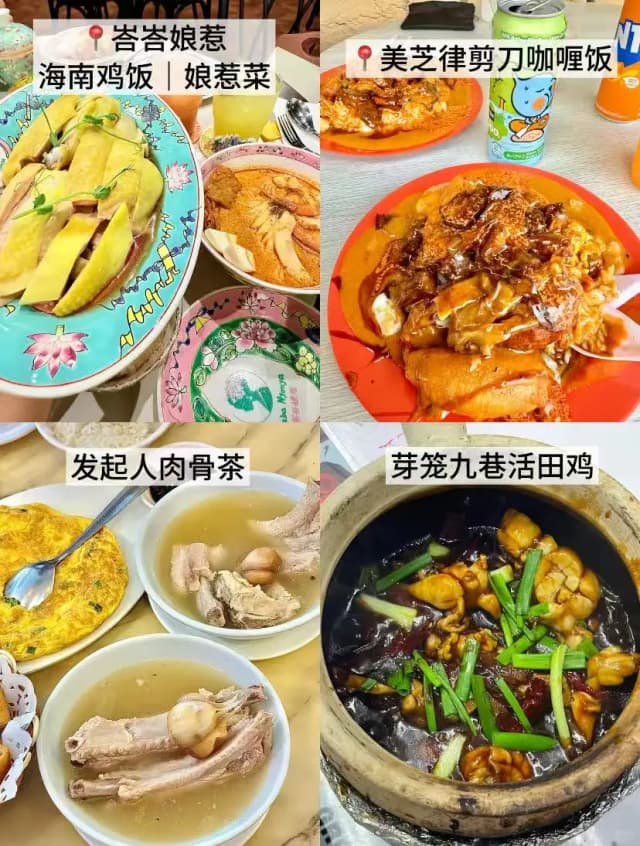 You have to eat at Baba Nyonya in Clarke Quay Central! The Nanyang-style environment is beautiful, the dishes are authentic, and the Hainanese chicken rice is a must-order.