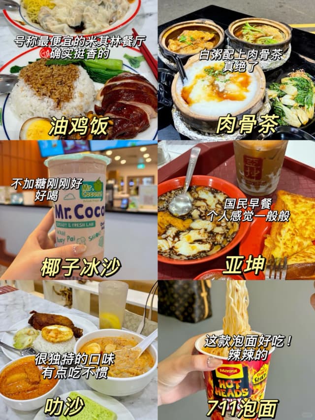 In Chinatown, I ate at the cheapest Michelin-starred restaurant—the soya sauce chicken rice was delicious!