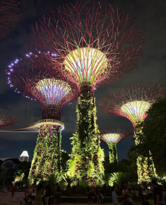 Step into a real-life 'Avatar world' at Gardens by the Bay; the Cloud Forest and Supertrees are absolutely stunning.