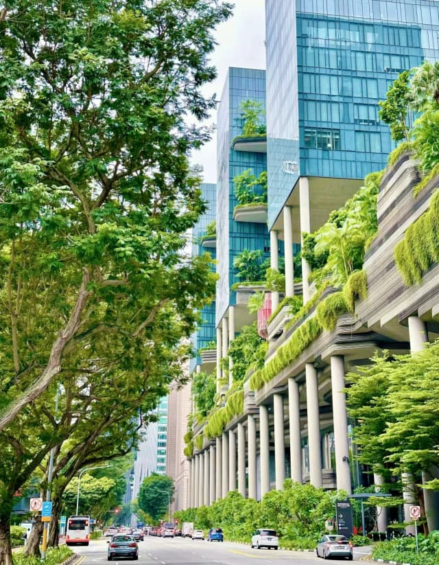 Just one day of power-walking in Singapore and my step count shot up to 28,000!