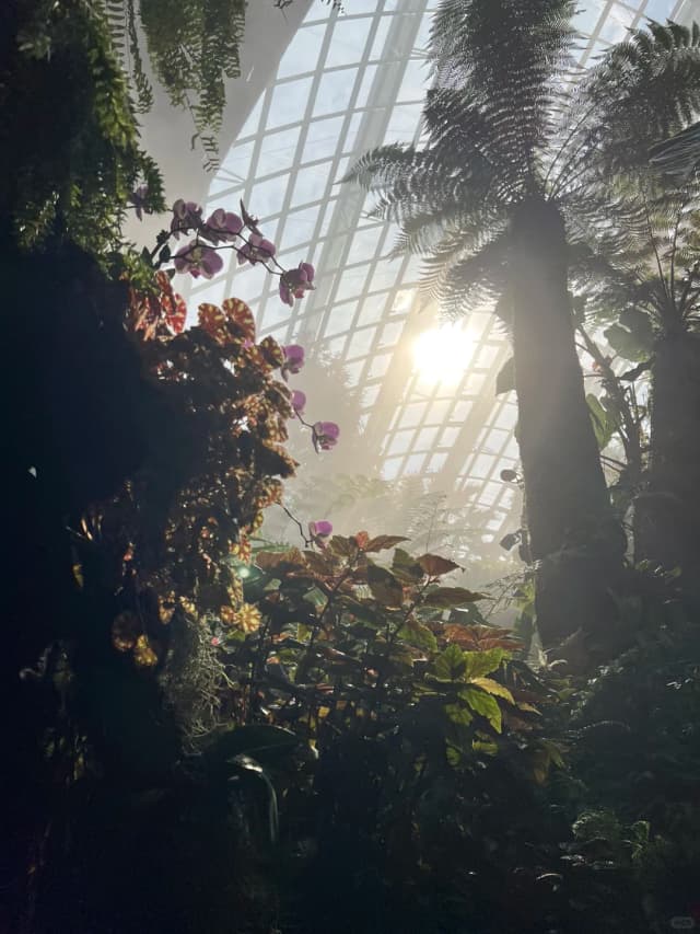 Step into a real-life 'Avatar World'—the Cloud Forest and Supertrees are simply breathtaking.