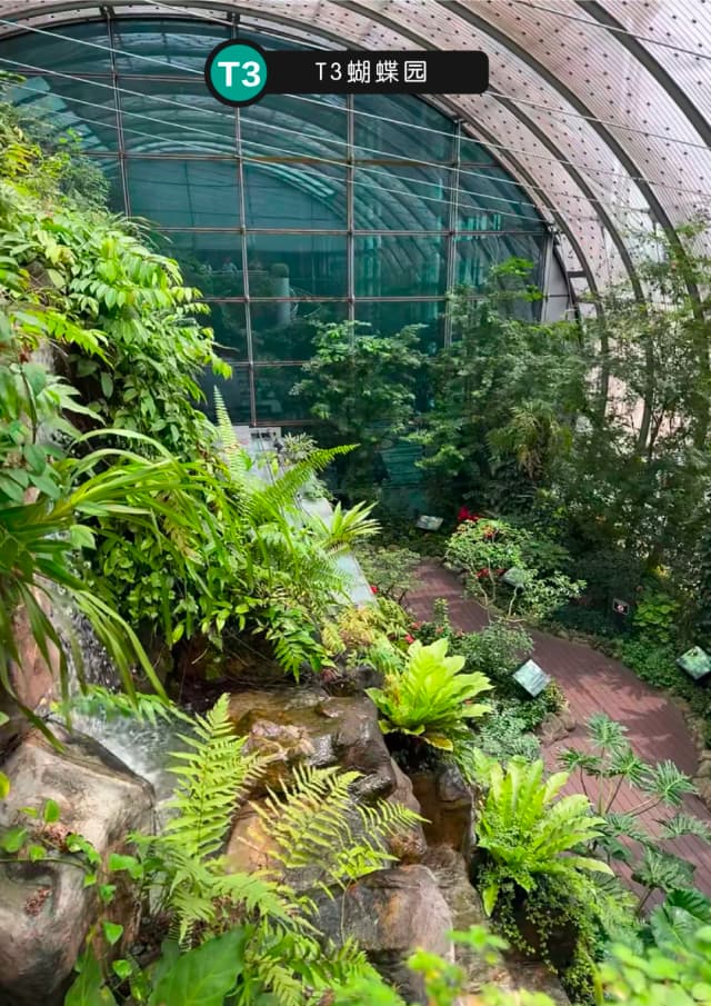 More than just a travel hub, Changi Airport is a destination in its own right, where your Singapore adventure begins the moment you land.