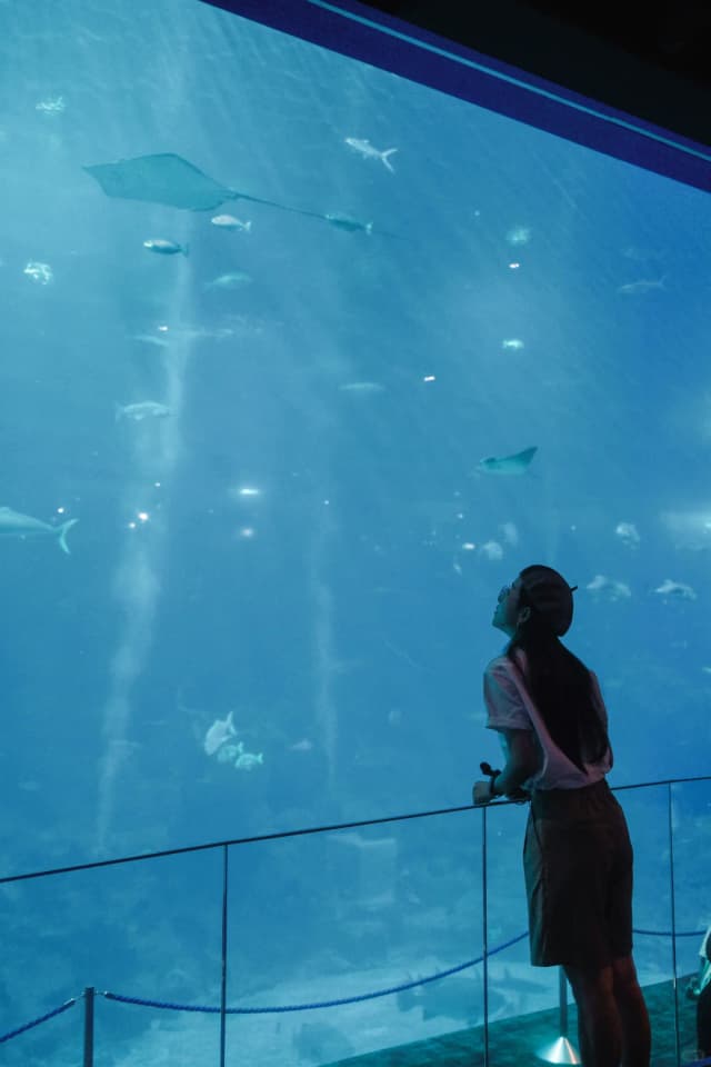 Grab a snorkel and swim through a kaleidoscope of colorful fish at the highly recommended Rainbow Reef.