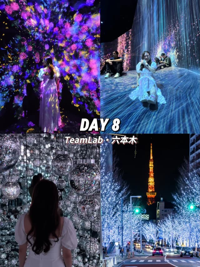 Even on a packed 12-day trip through Tokyo and Mt. Fuji, we made sure to visit teamLab Borderless and see the romantic Christmas lights in Roppongi.