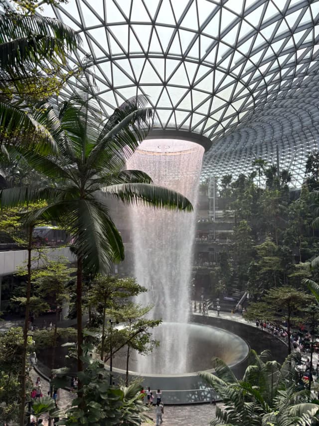 When filling out your SG Arrival Card, make sure the website ends in `.gov.sg`! It's completely free, so don't fall for scam sites asking for money.